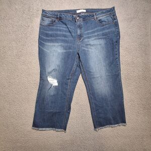 Cato EST 1946 Curvy Capri Jeans Women's 20w (43x22) Blue Frayed Hem Stretch READ